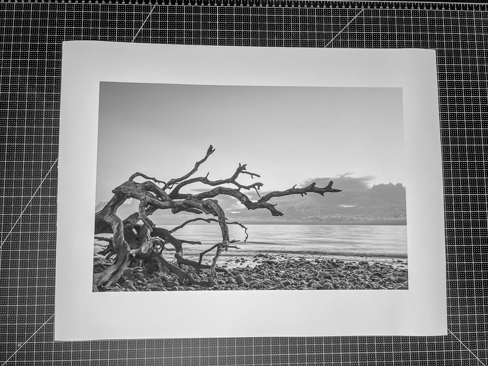 Driftwood Beach