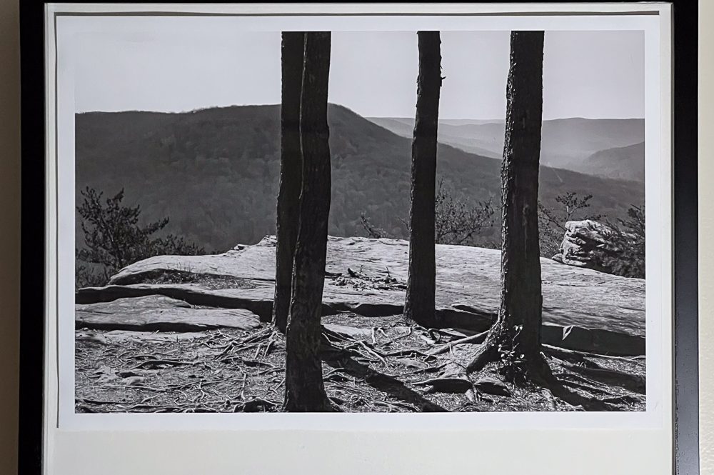 Welch Point to go on display in September