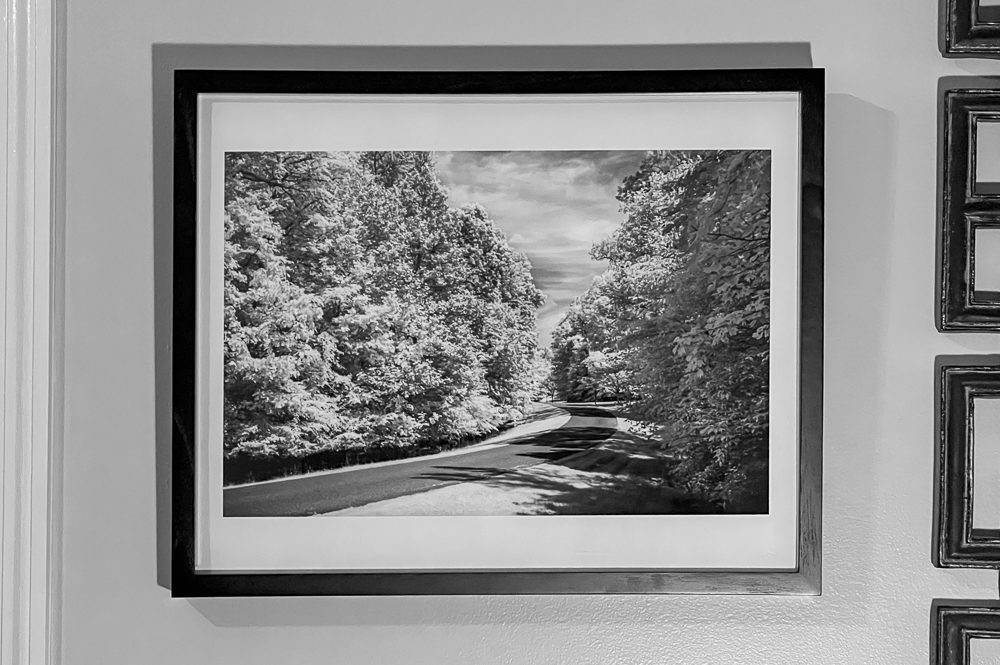 The Quiet Road Ahead: An Infrared Photograph that Transports You to Quiet Waters Park